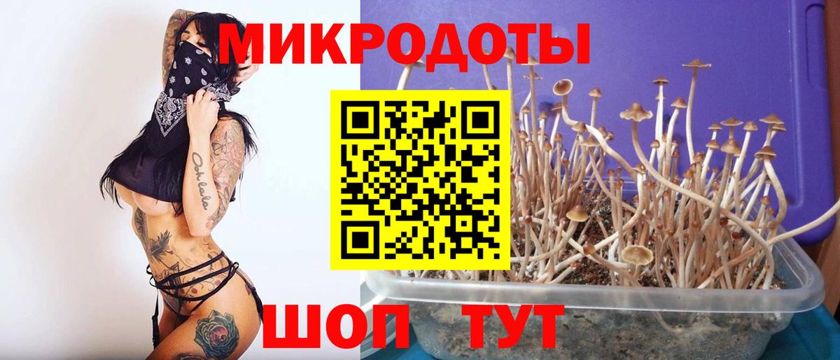 Галлюциногенные грибы Cubensis  Вход с VPN  Тара 