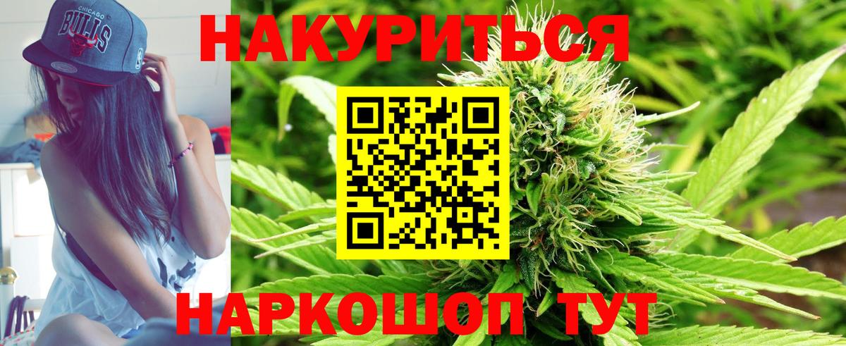 Шишки марихуана ГИДРОПОН Тара